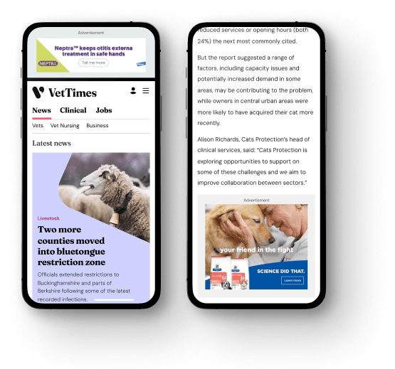Digital display ads