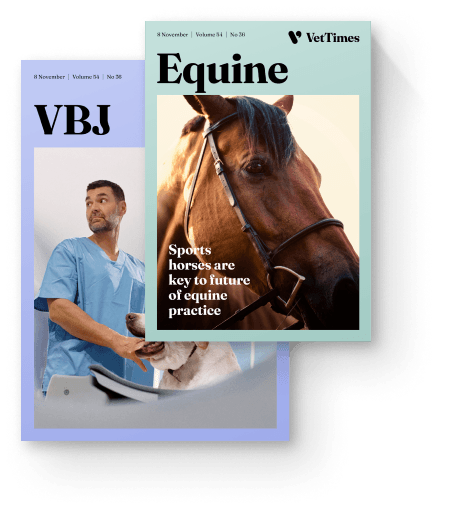 Journals and supplements