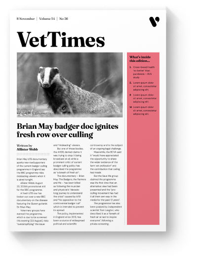 Flagship publication