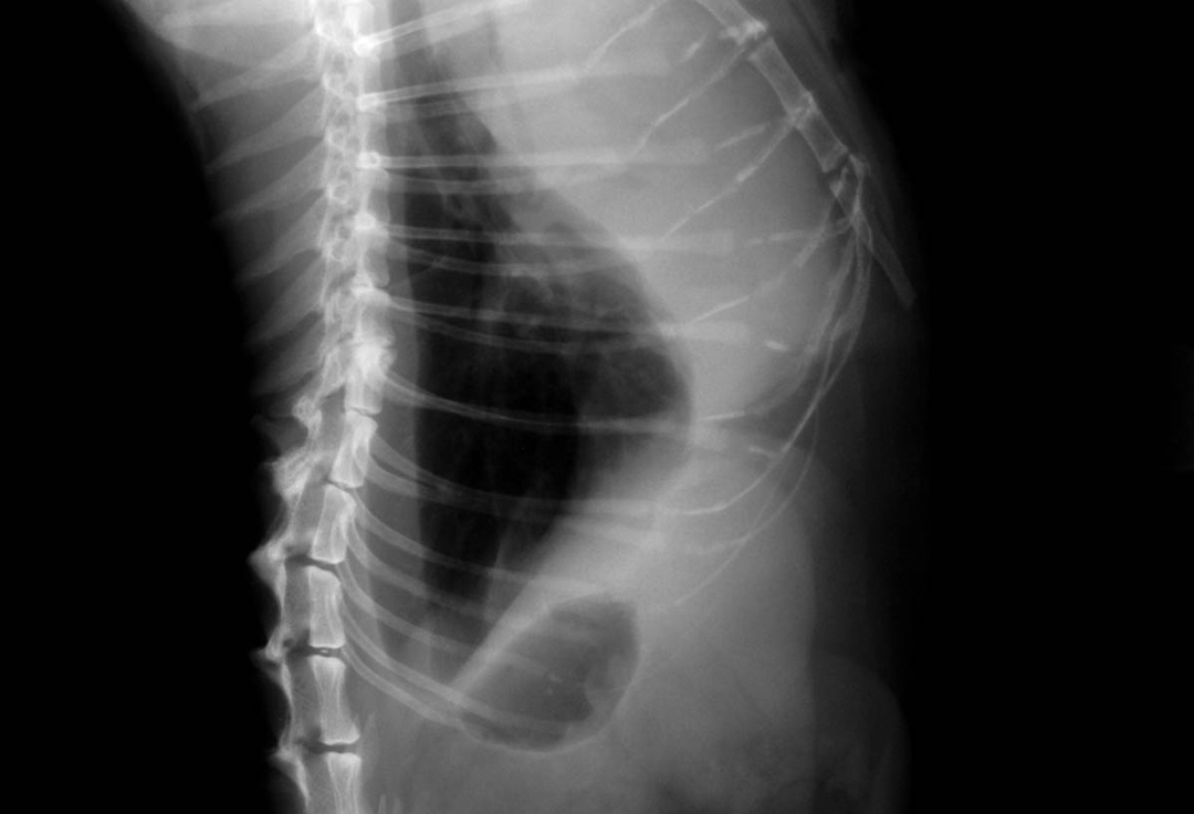 Digital radiology – the benefits are clearly visible