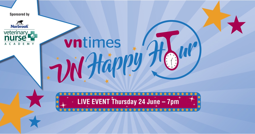 Join us for VN Happy Hour 6