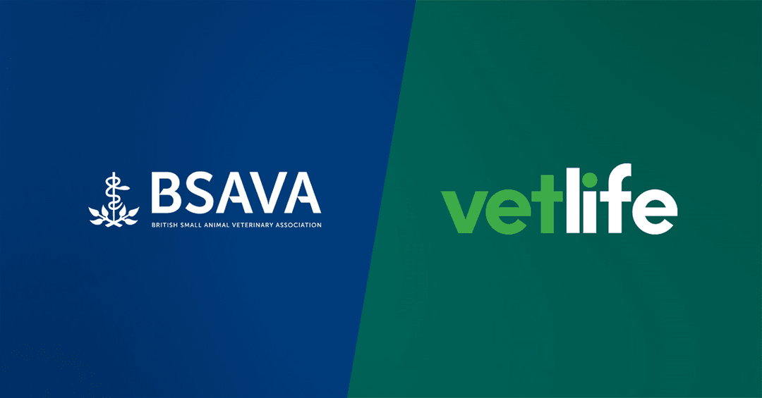 BSAVA in £5k Vetlife donation