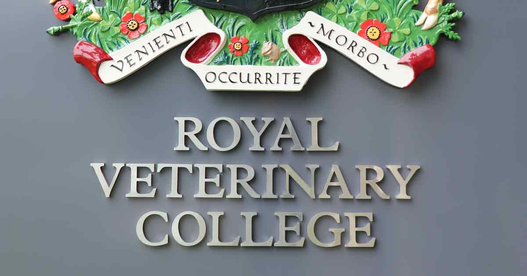 Hat-trick as RVC once again named world’s best vet school 