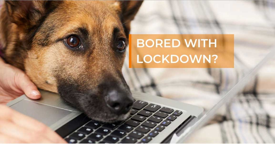 VMA quiz aims to help ease lockdown boredom