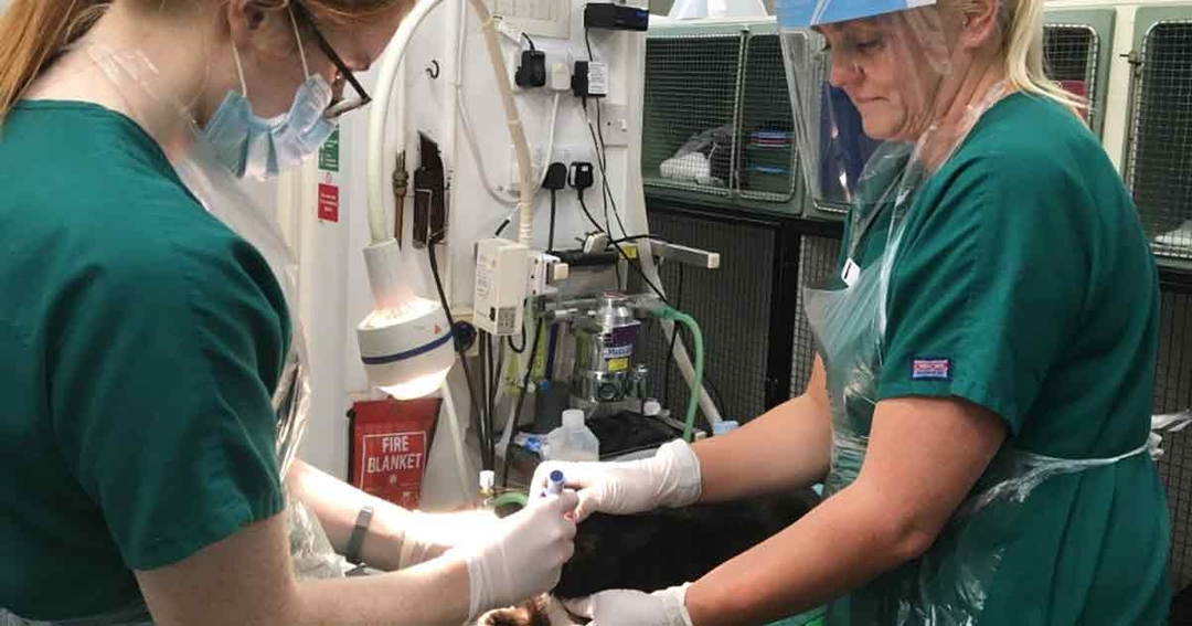 EMS in COVID-19 times