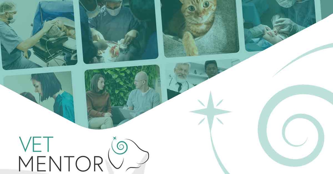 Virtual work experience to showcase vet work to pupils