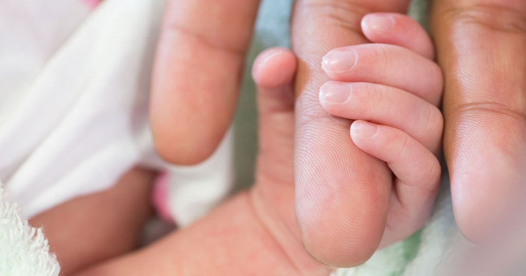 Vets Now gives six months’ full pay for maternity leave