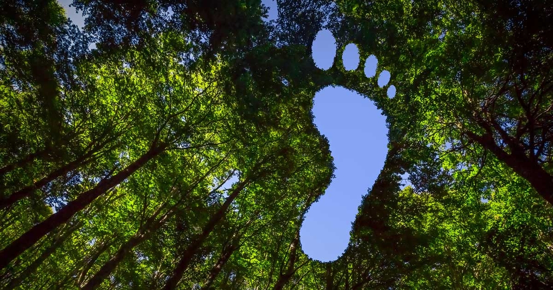 IVC Evidensia announces green initiative
