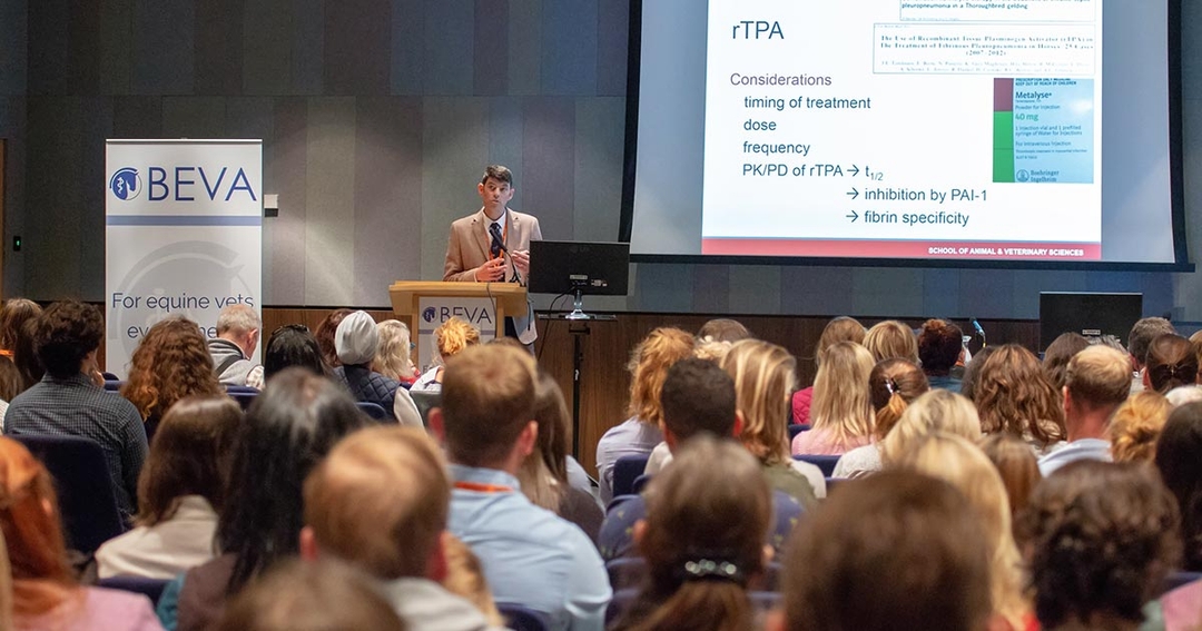 BEVA Congress back for diamond year