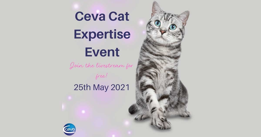 Ceva Cat Expertise 2021 event coming in May