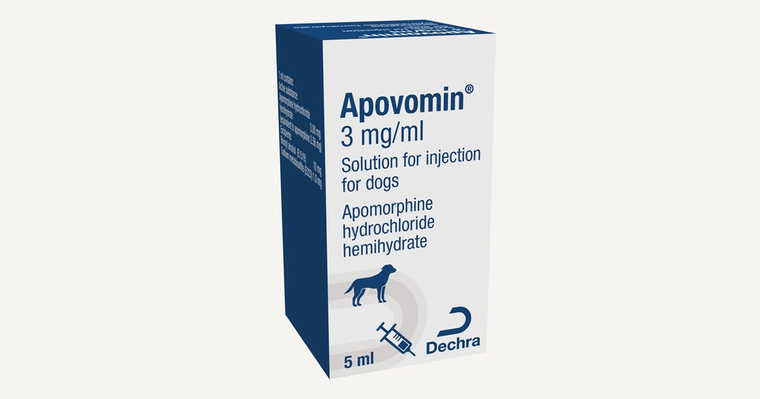 Sickness solution available for dogs