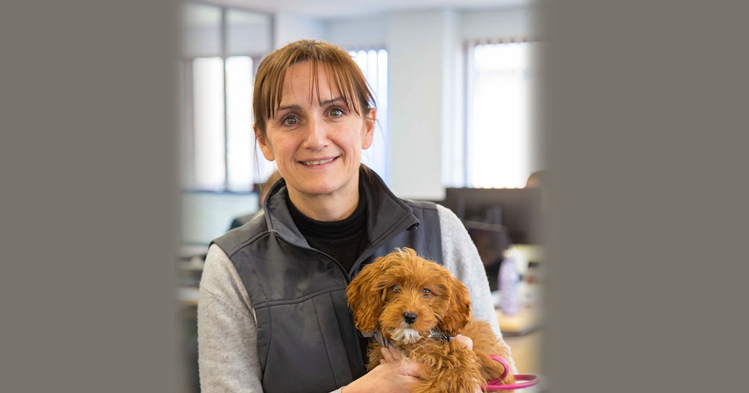 VetPartners acquires online retailer VetUK