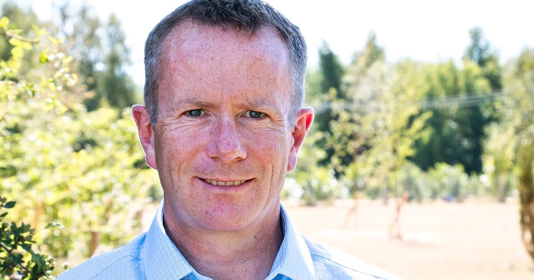 VetPartners and The British Horse Society team up on owner education