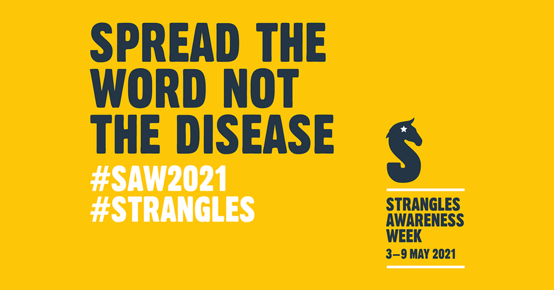 Strangles awareness campaign goes international