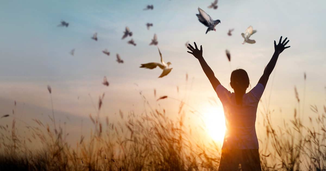 RCVS launches photography competition 