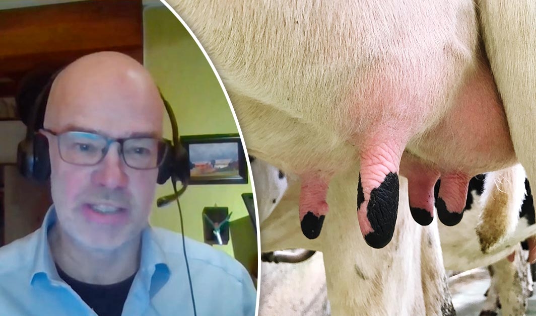 Future Vet Congress 2021: Nordic obsession with penicillin for treating mastitis