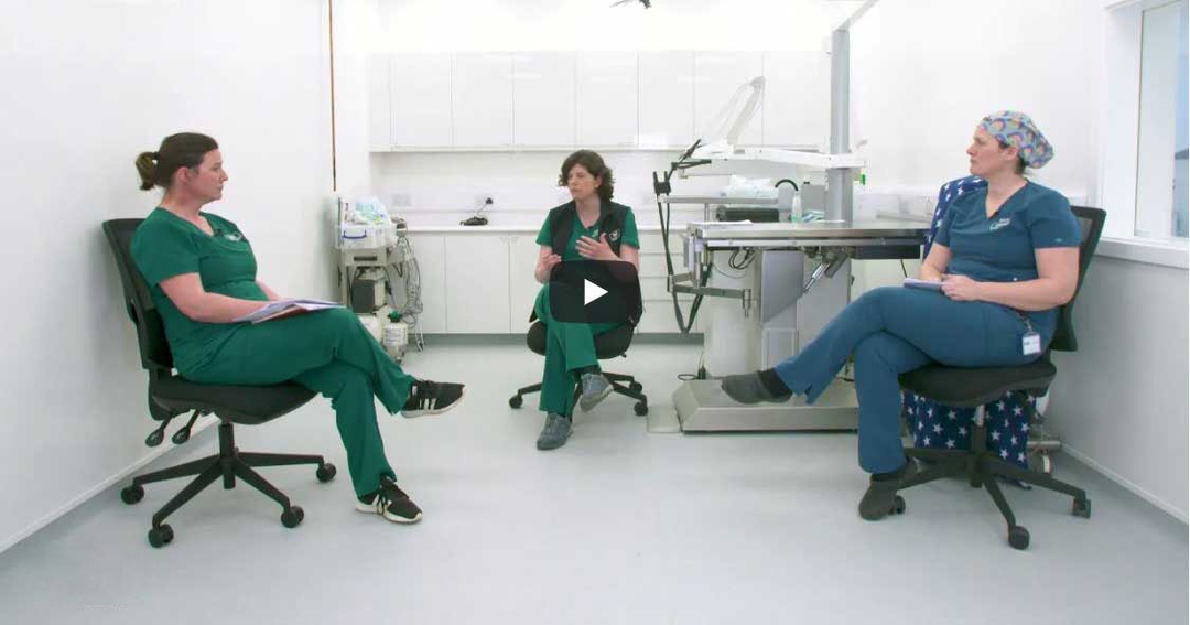 Davies launches videos to celebrate VN skills