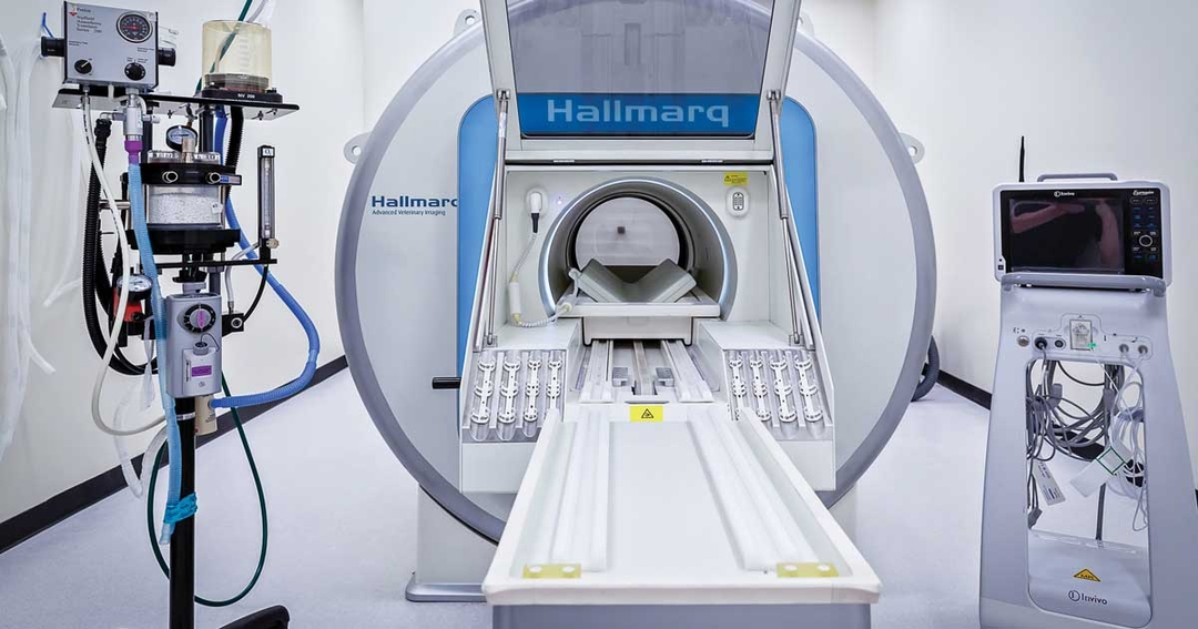 Access advanced imaging for better patient outcomes and business success