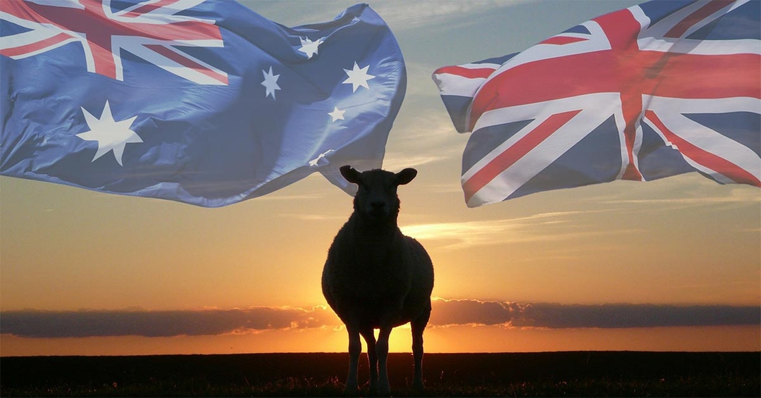 Keep animals in mind on Antipodean trade deals, BVA urges