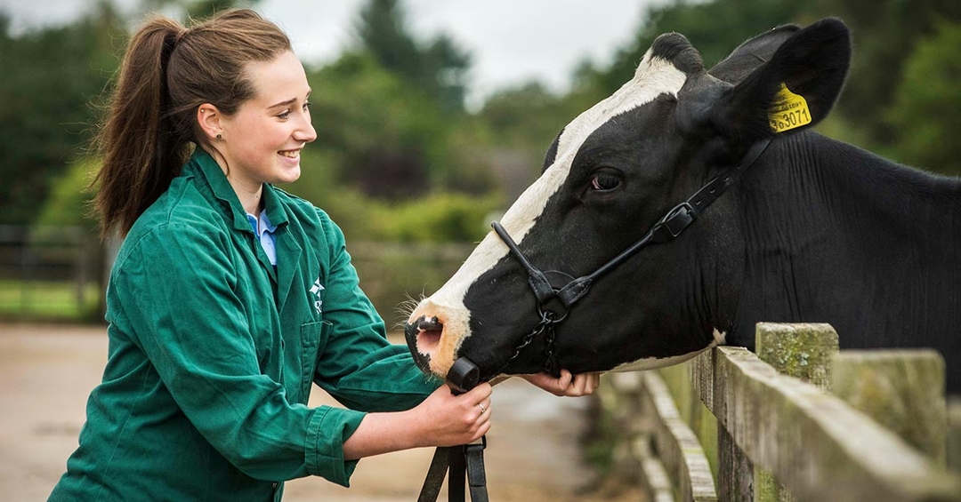 SRUC vet school continues recruitment drive