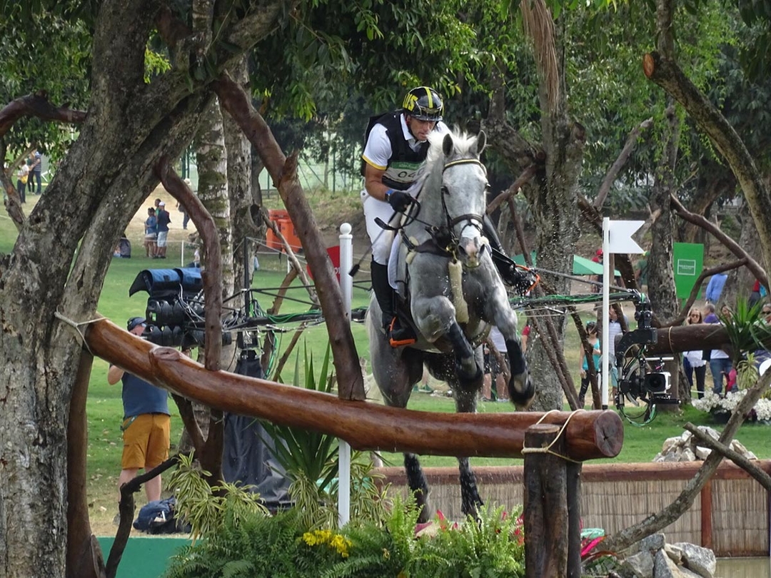 BEVA journal aids equine vets about heat at Tokyo Olympics