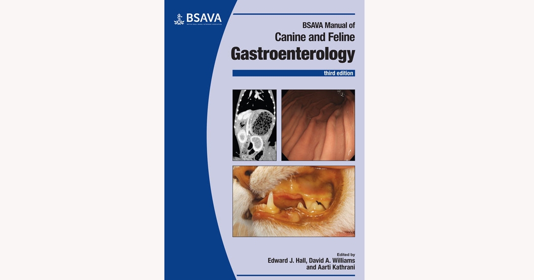 Webinar for BSAVA to cover regurgitation