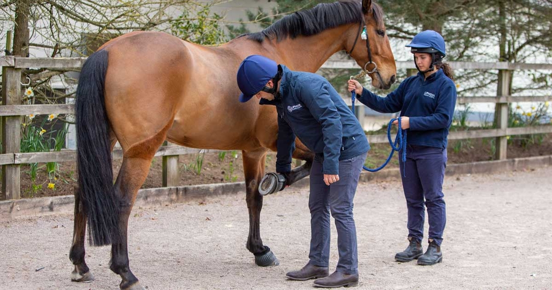 Campaign highlights importance of hard hats when handling horses 