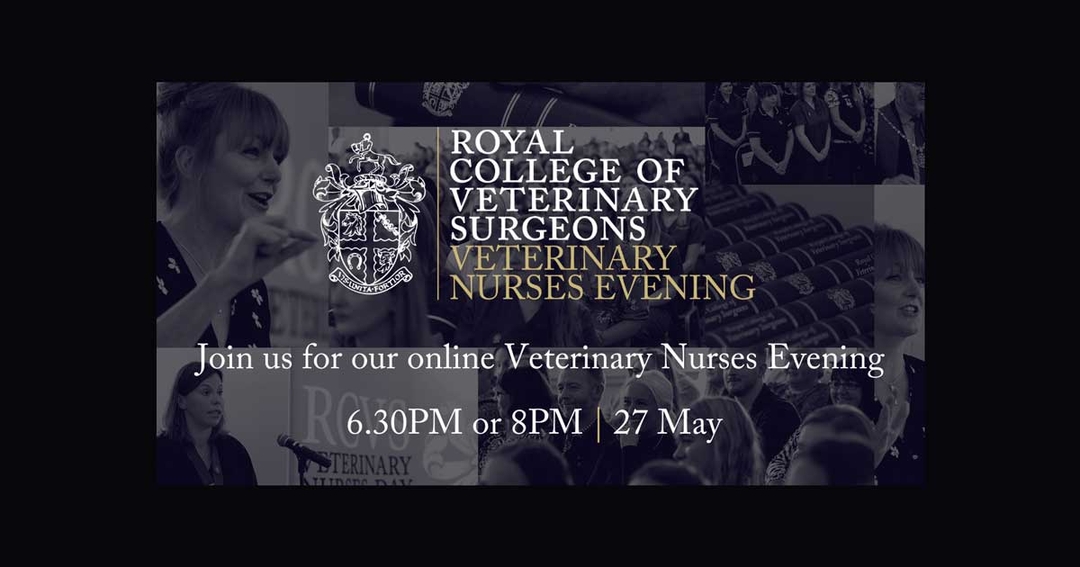 RCVS VN evening to celebrate landmark year