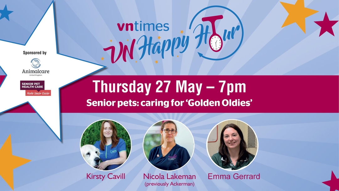 VN Times Podcast, Ep 16: VN Happy Hour 5 – senior pets: caring for ‘golden oldies’
