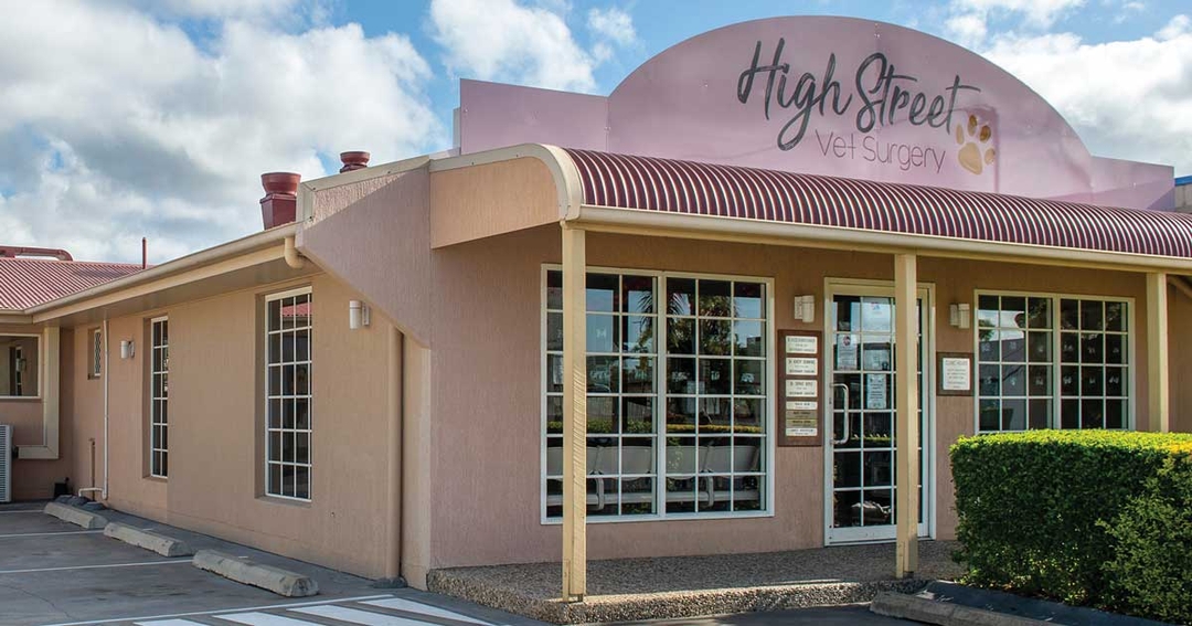 Practice Profile: High Street Veterinary Surgery