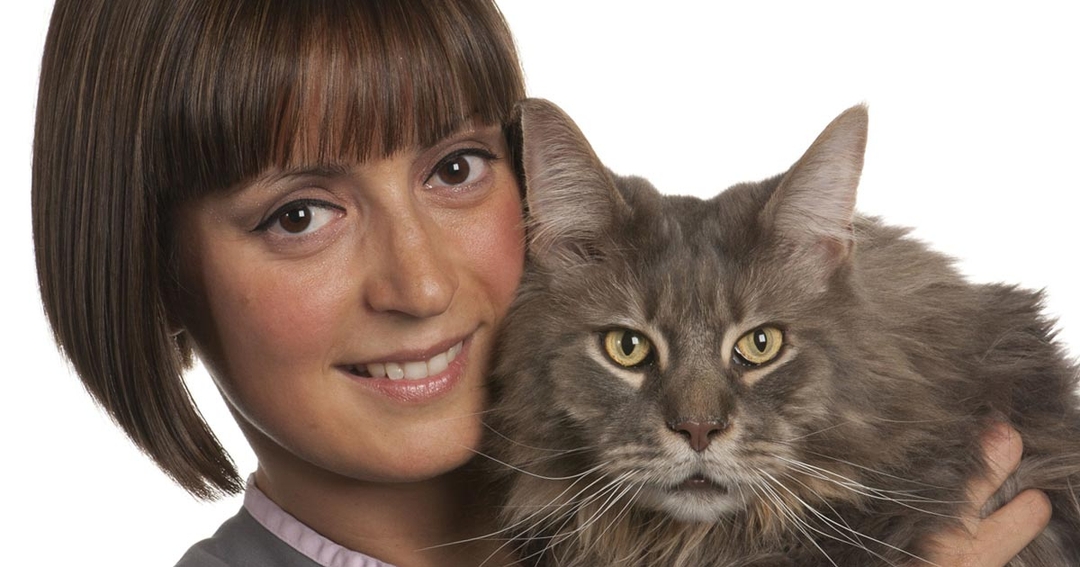 Vet Times Podcast, Ep 55: Karen Perry on lameness conditions in cats