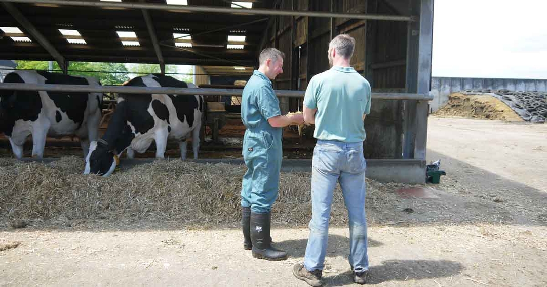 Coaching skills for farm vets