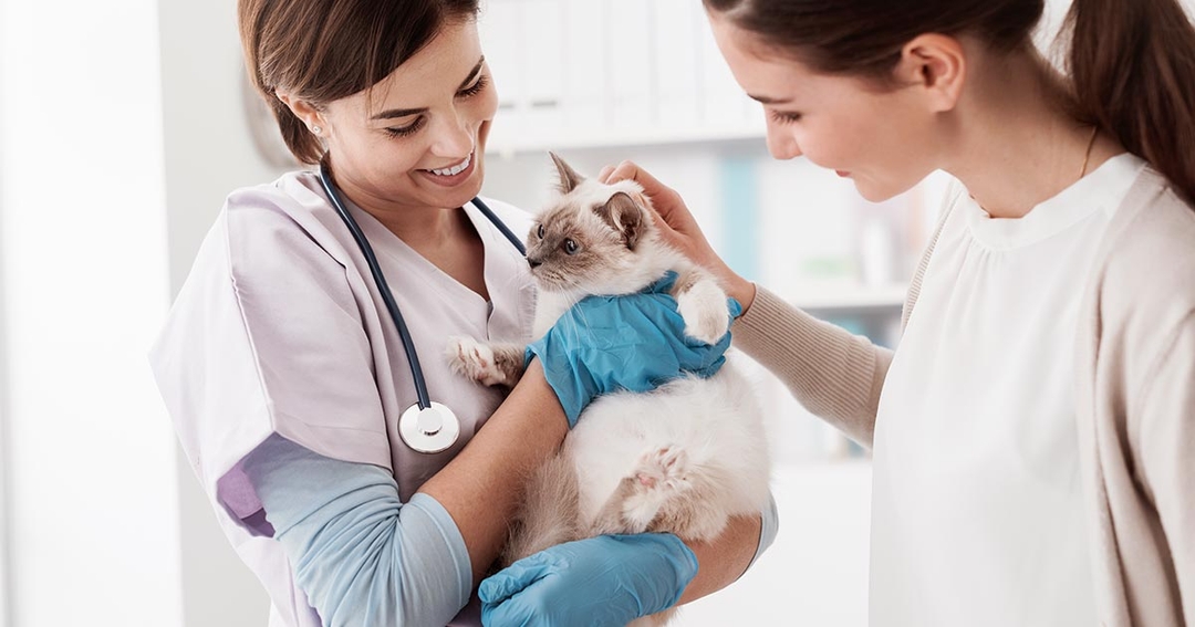 New partnership to highlight strength of human-companion animal bond