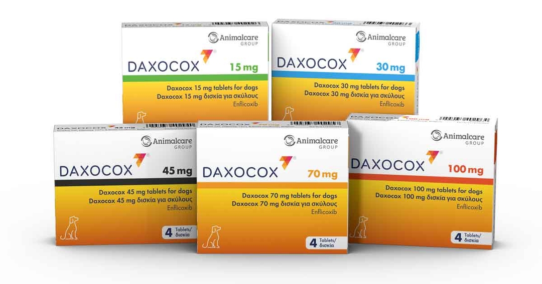 New weekly NSAID from Animalcare helps stop breakthrough OA pain