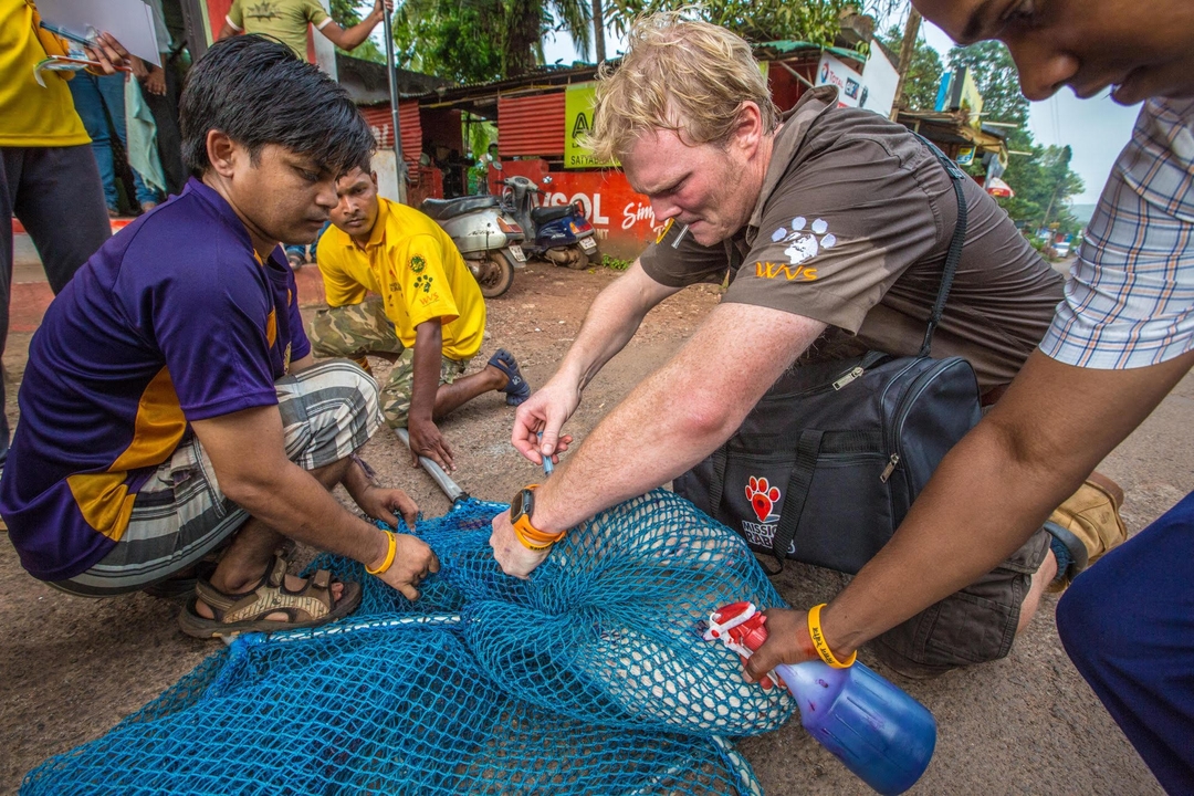 Mission Rabies celebrates big breakthrough