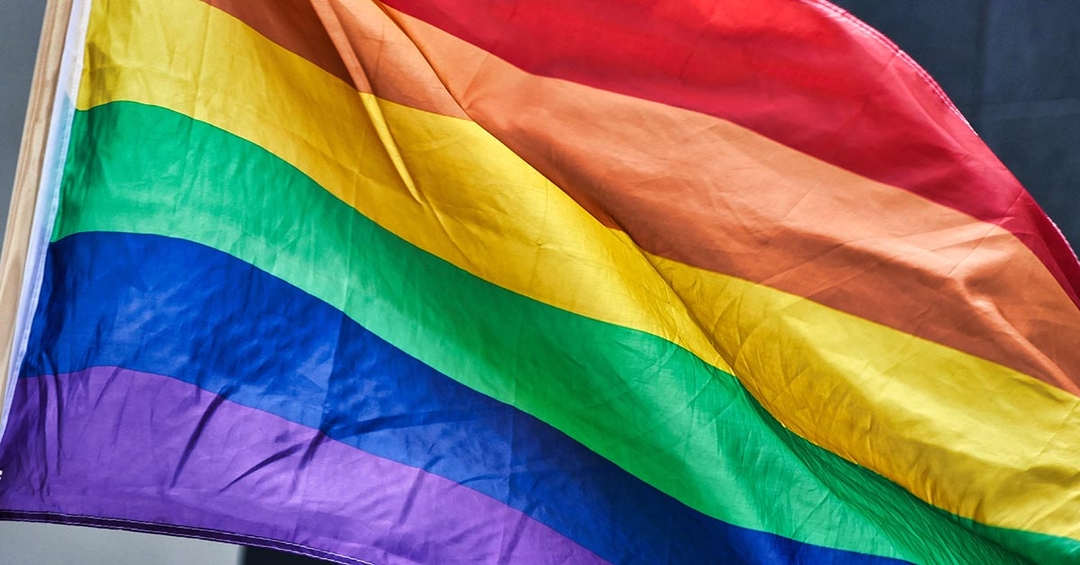 Group wants vets and VNs to show pride 