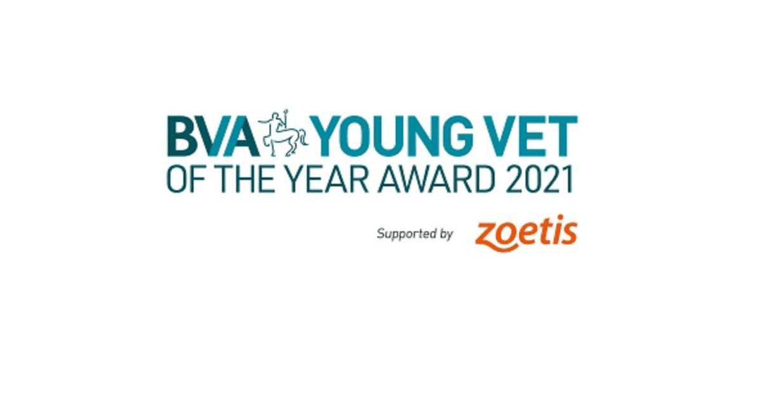 Nominations for Young Vet of the Year open