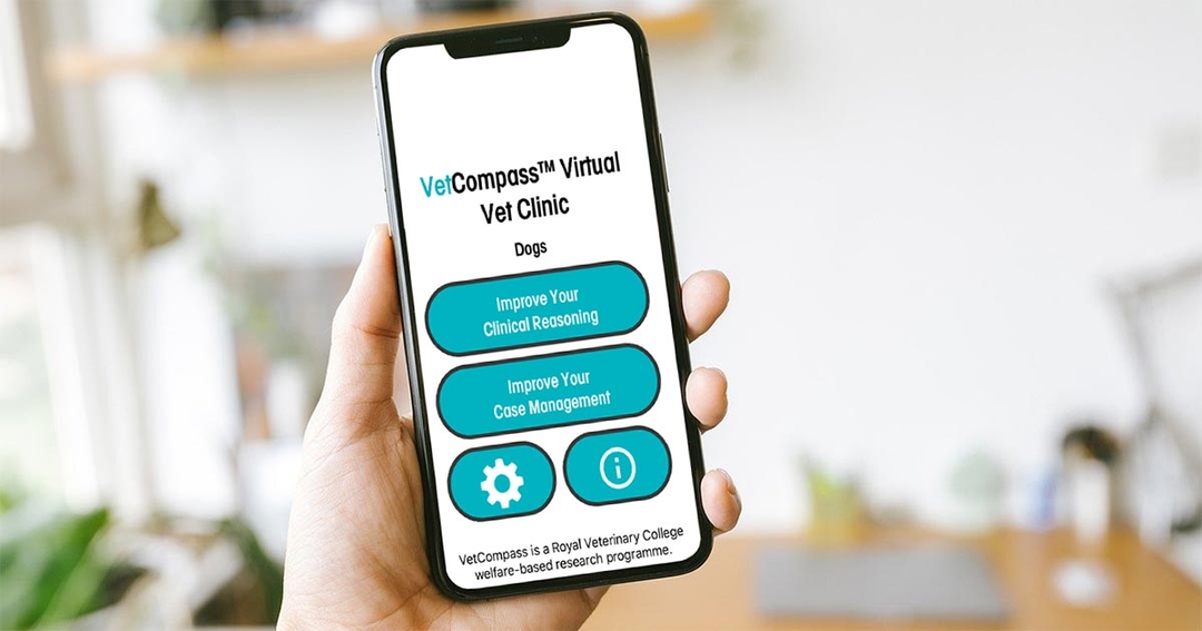 Clinical app launches to help students make up for lost time during pandemic