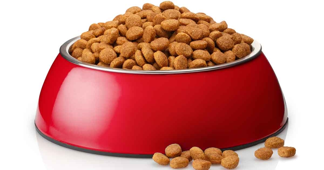 Update on key diet considerations and nutritional requirements