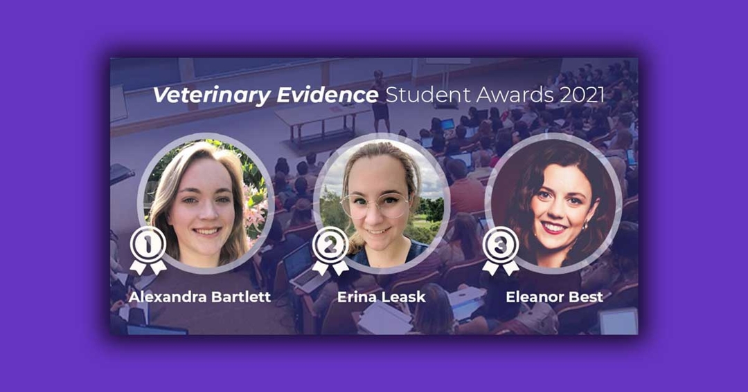 Students from UK and Oz shine in awards