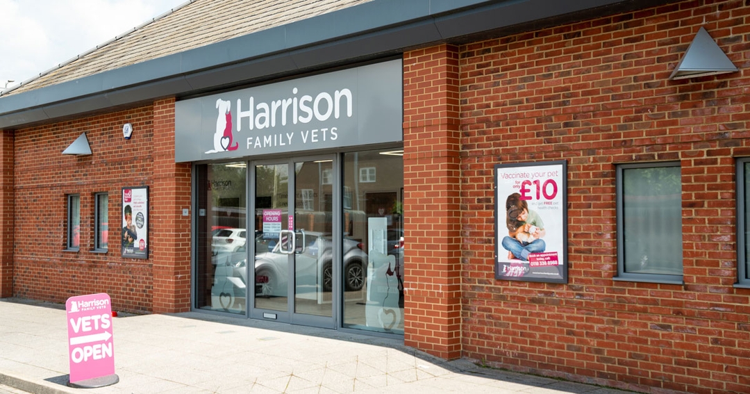 New independent practice group launches