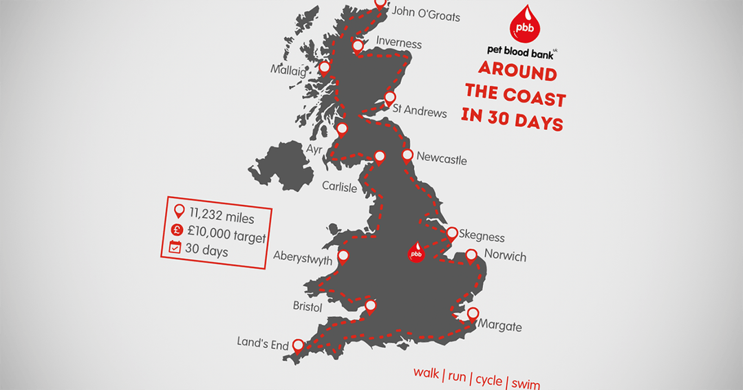 Virtual fund-raiser for Pet Blood Bank