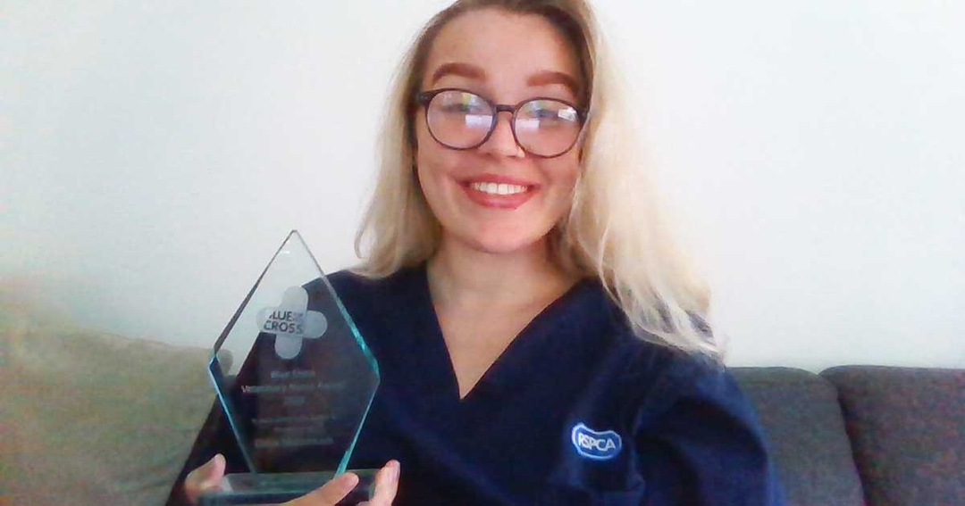 Blue Cross VN of the year nominations open