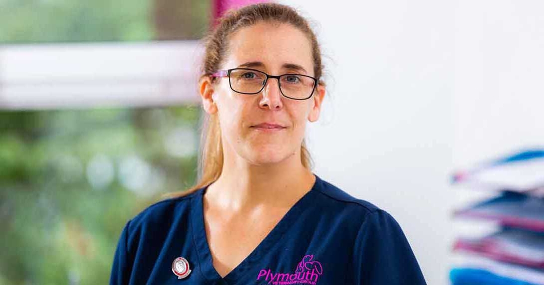 Client response to vet nurse clinics is ‘overwhelmingly positive’ 