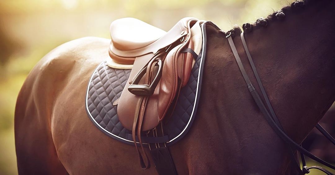 Equine gastric ulcer syndrome