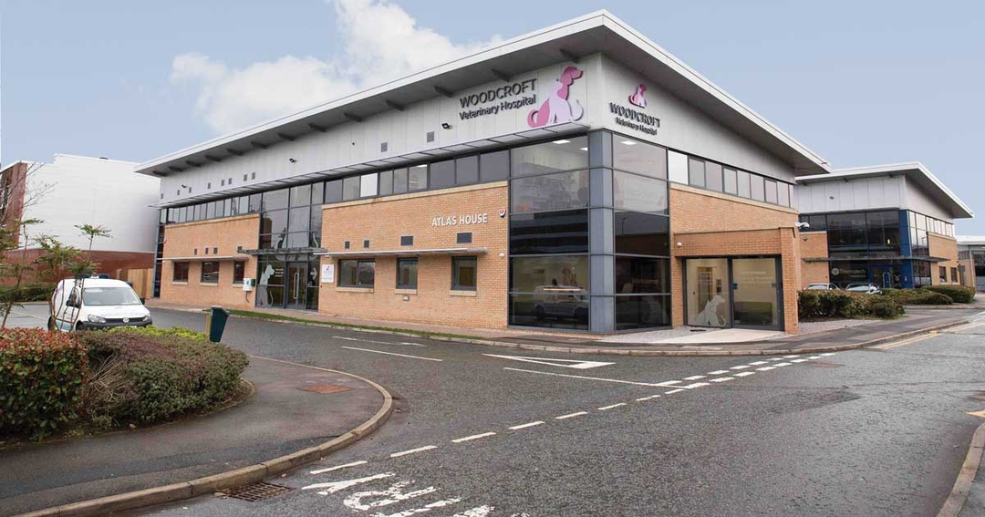Practice Profile: Woodcroft Veterinary Hospital