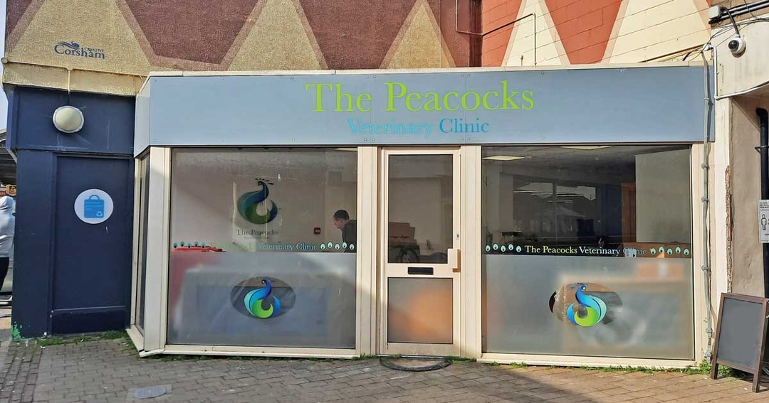 Practice Profile: The Peacocks Veterinary Clinic