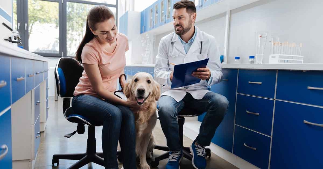 ‘Check now’ plea to vets as registration rule changes published