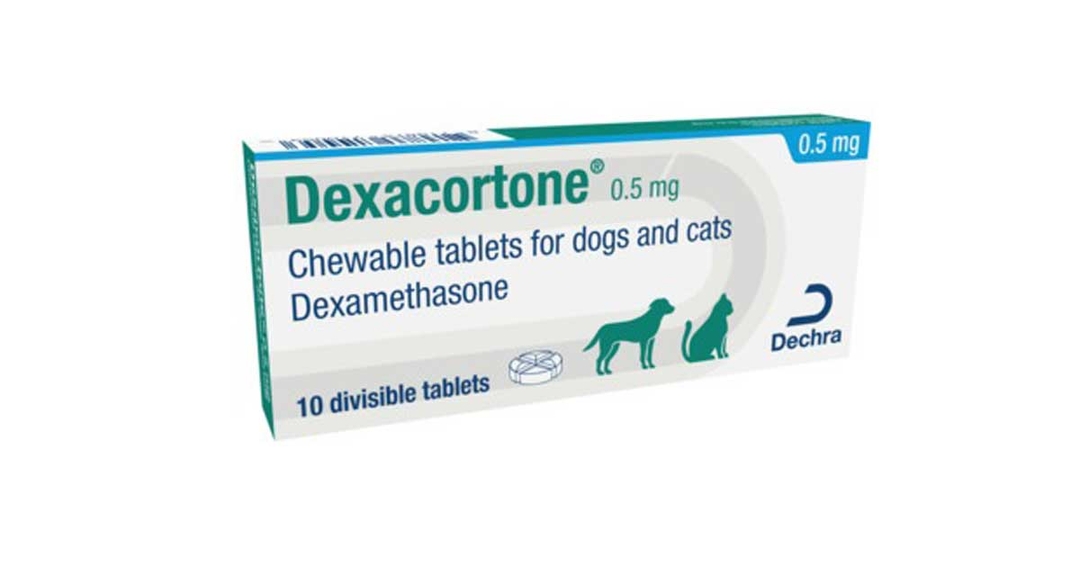 Dechra launches drug for inflammatory and allergic conditions
