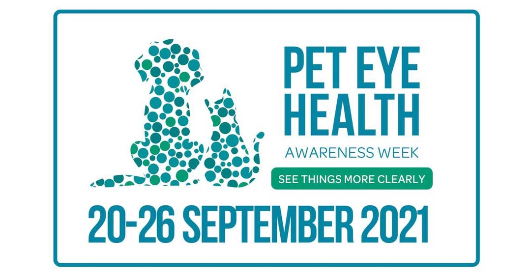 Eye health awareness week set to return